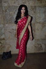 Nandana Sen at Rang Rasiya screening in Lightbox, Mumbai on 4th Nov 2014